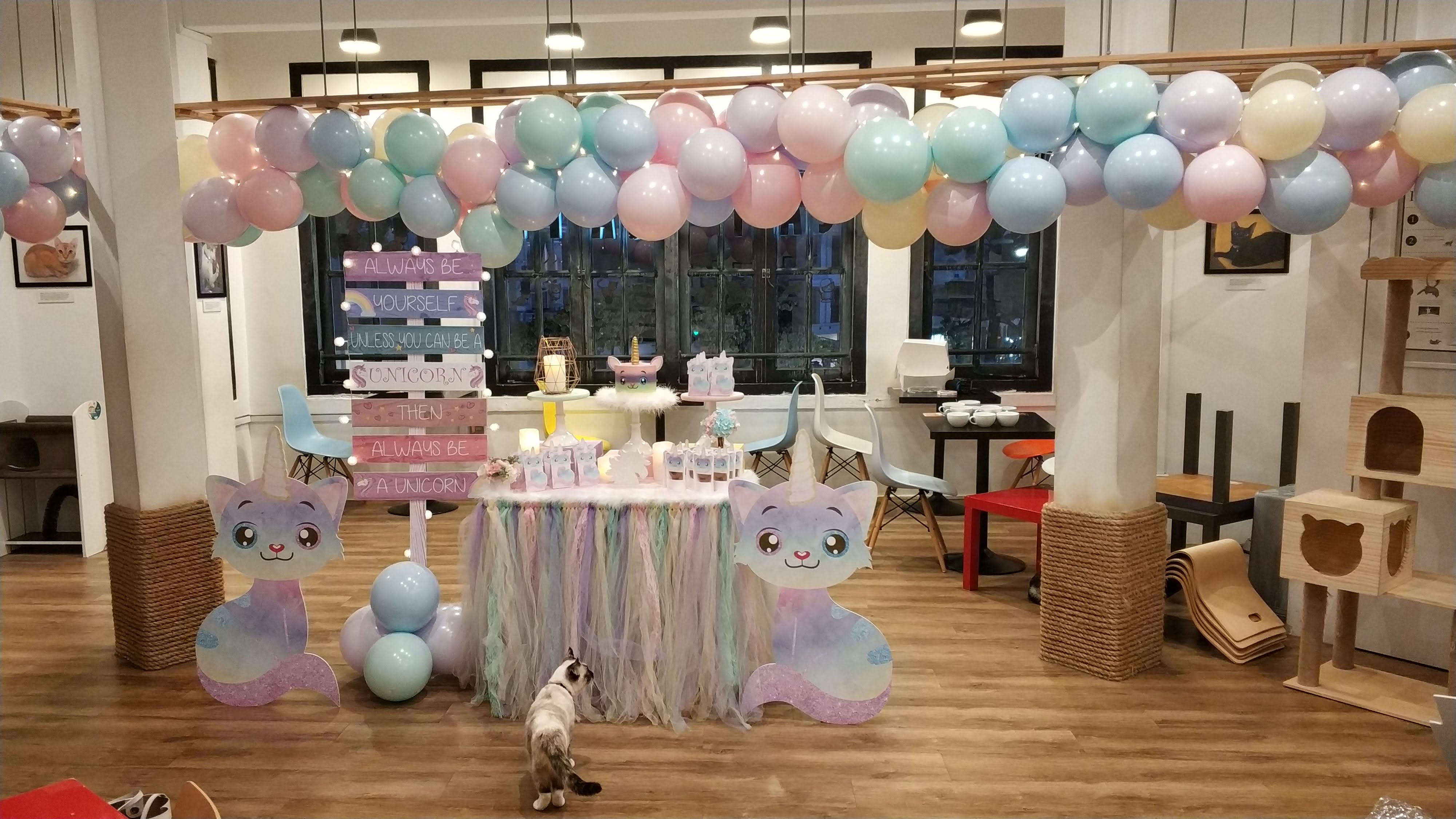 Cat cafe birthday party Bugis