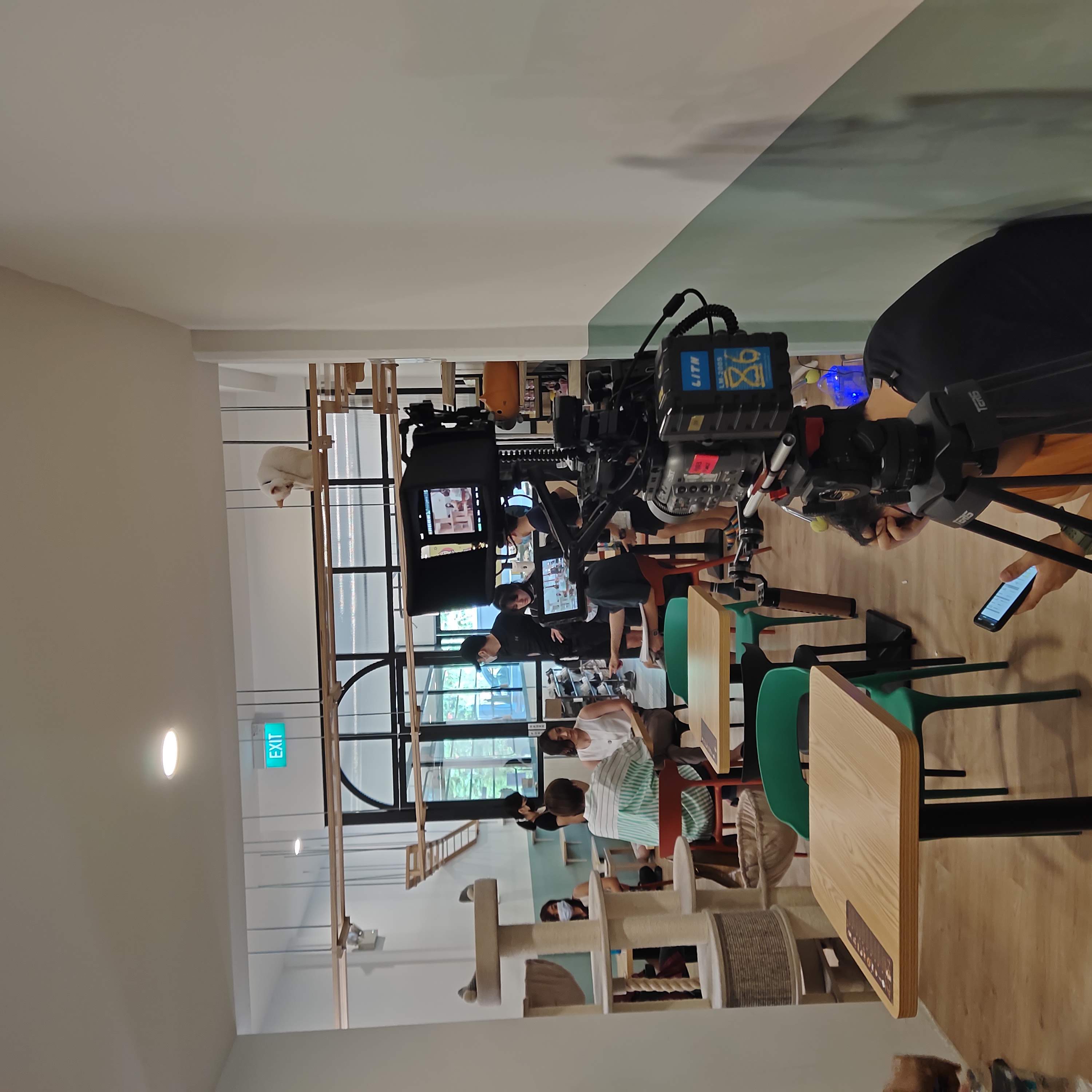 Video shoot at cat cafe Bugis
