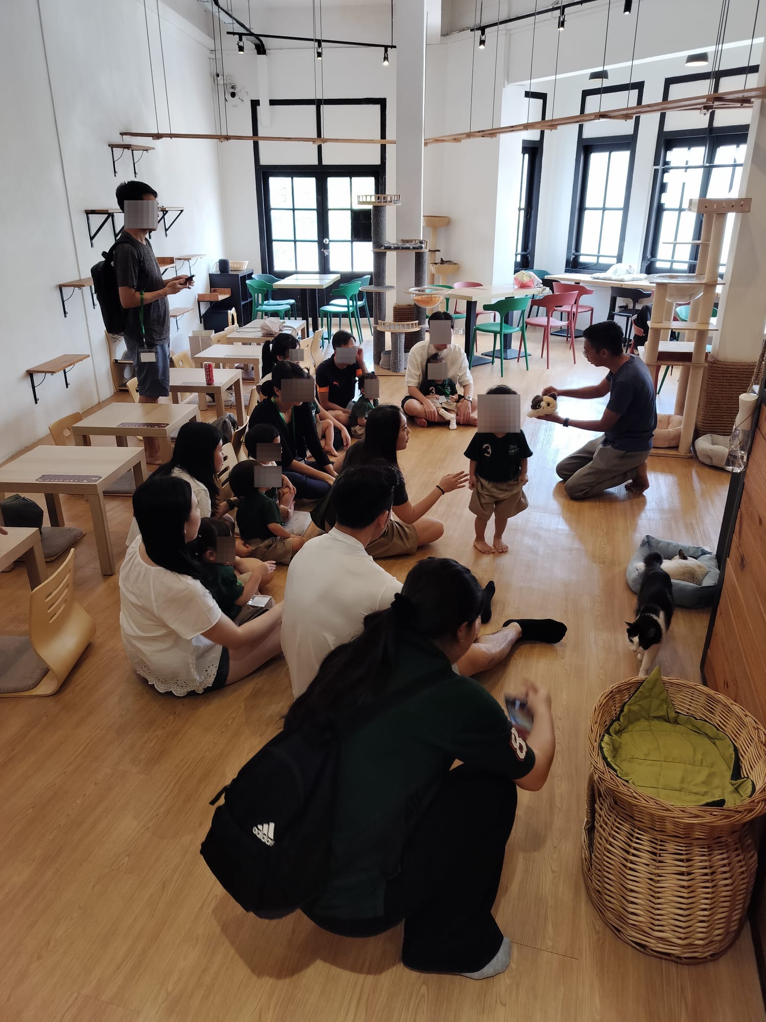 Commercial event with cats Singapore