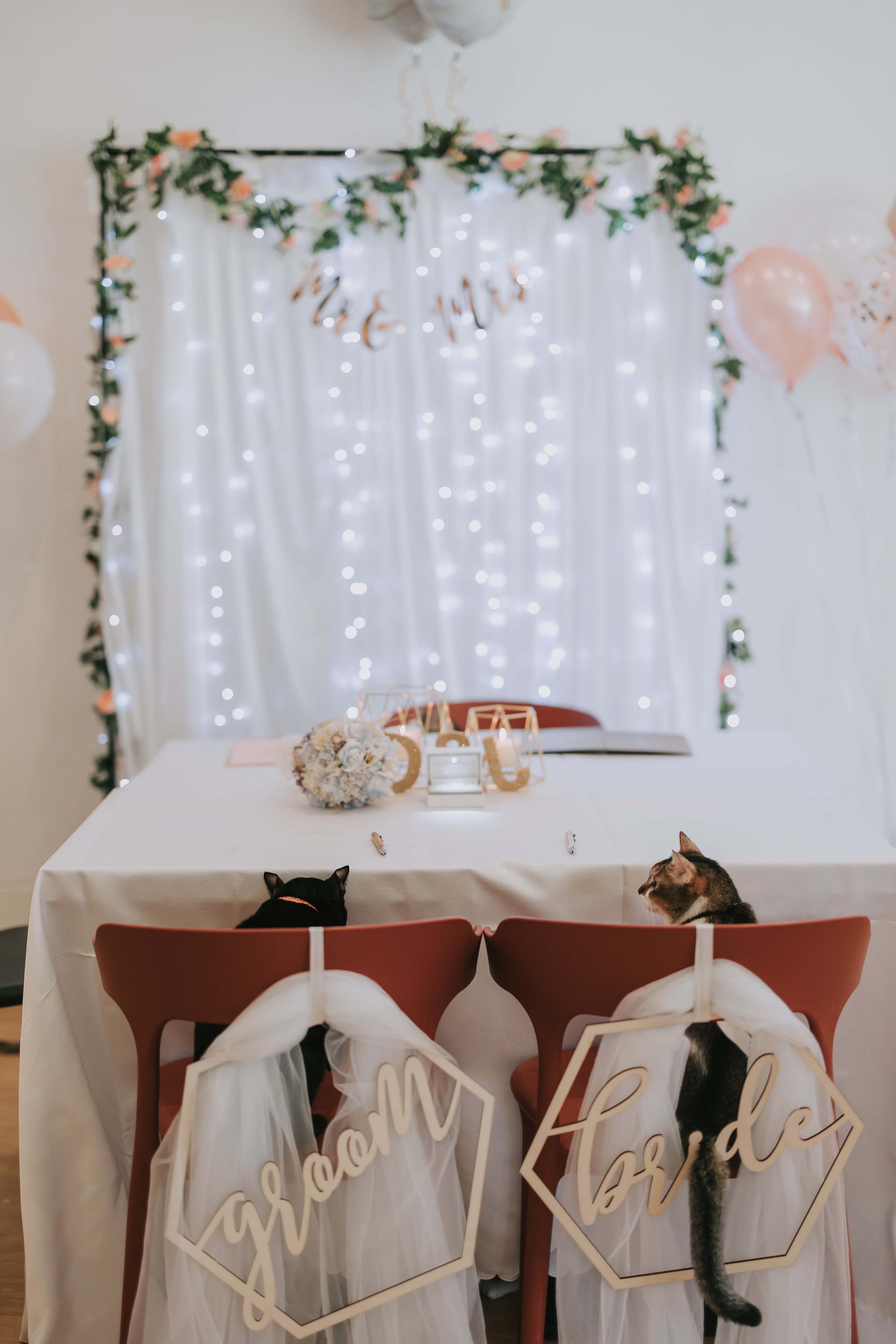 Proposal at The Cat Cafe Singapore