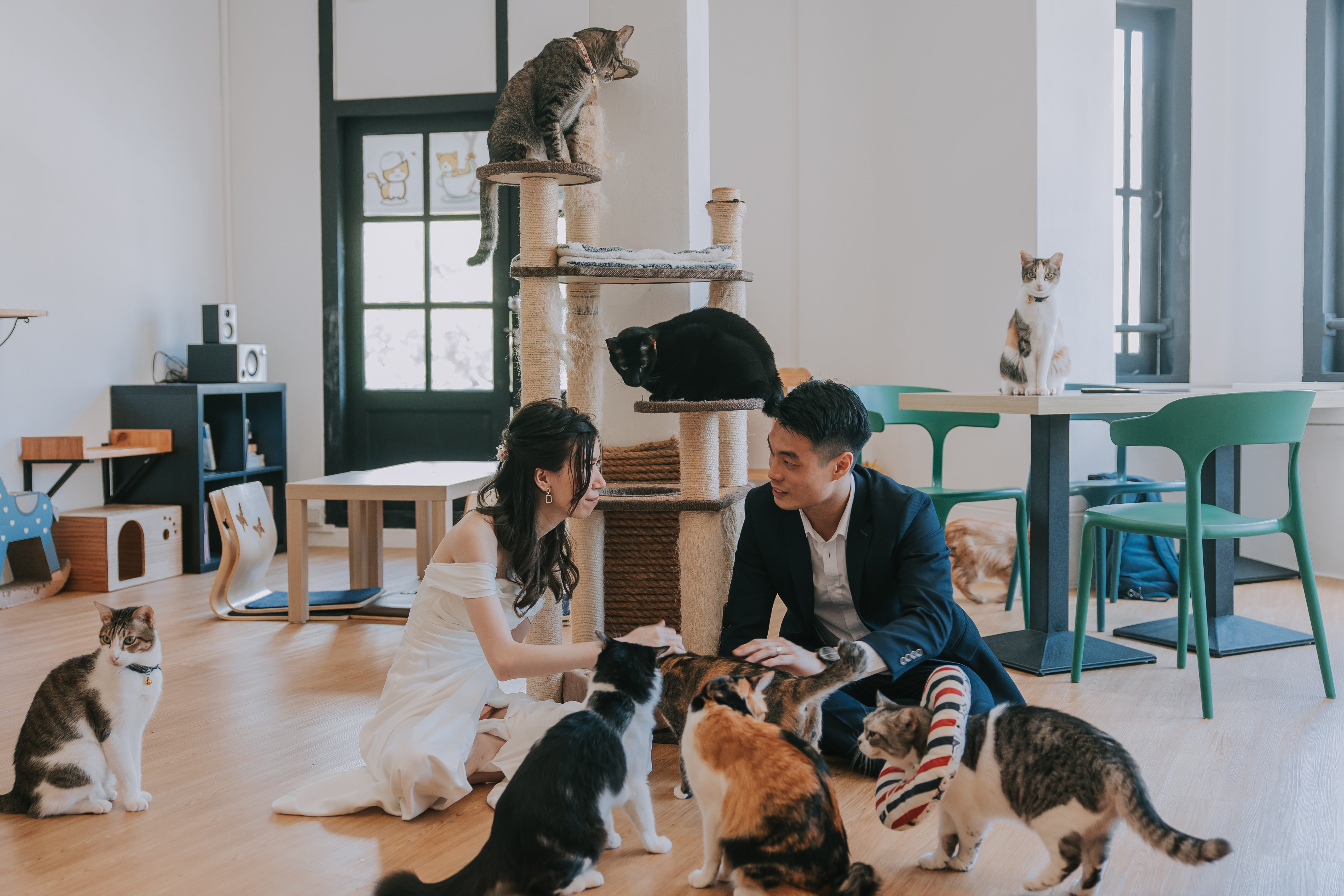 Solemnisation cat cafe Singapore