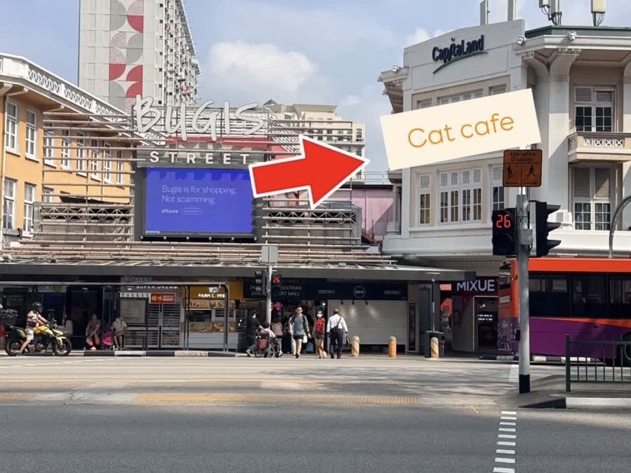 Street view across Victoria Street with an arrow pointing to the cat cafe's building, near Bugis Street